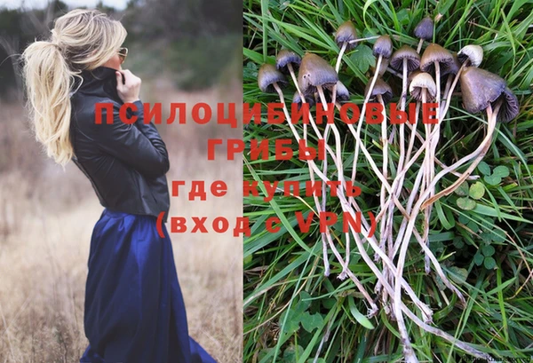 ПСИЛОЦИБИНОВЫЕ ГРИБЫ Абинск