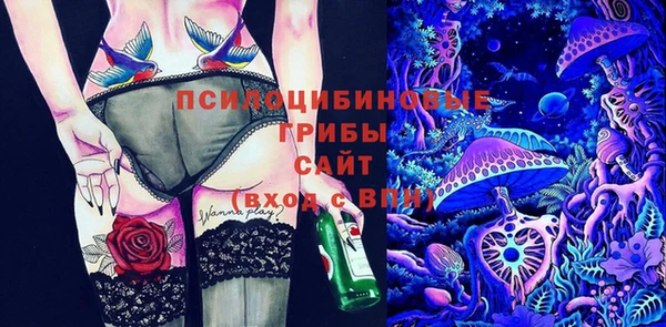 ПСИЛОЦИБИНОВЫЕ ГРИБЫ Абинск