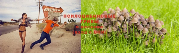 мяу мяу мука Абдулино
