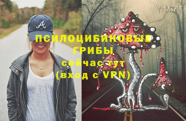 мяу мяу мука Абдулино